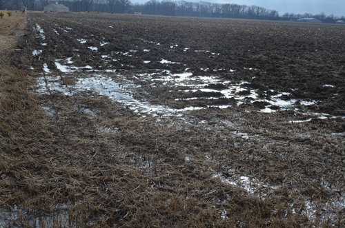 Property photo 10 - East Allen County Land Auction - 40 Acres in 2 Tracts